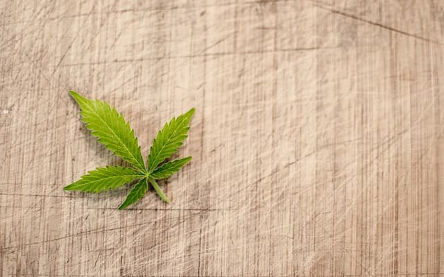 CBD Oils: Much More Than Just a Pain Reliever
