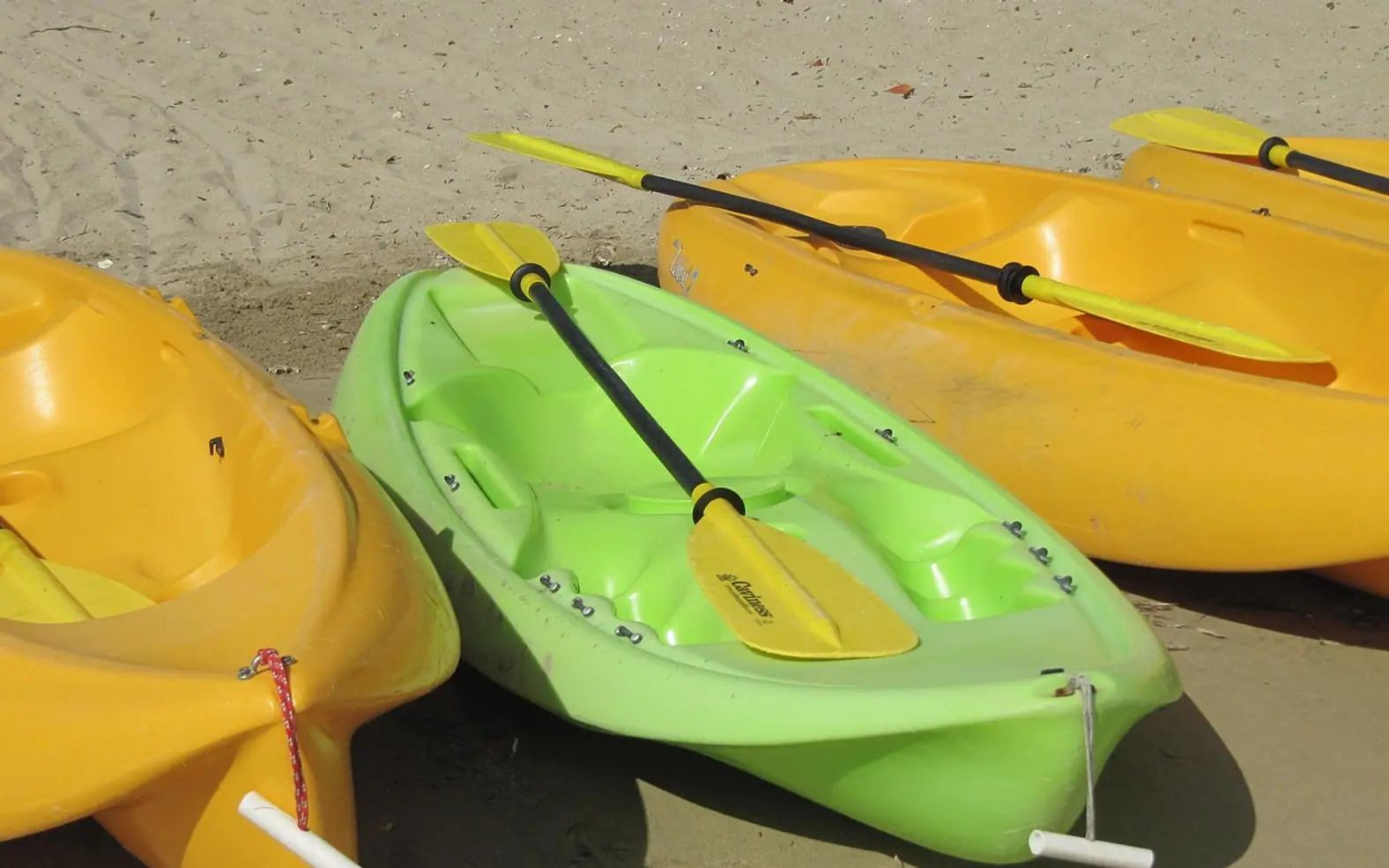 Canoe, nature and sea