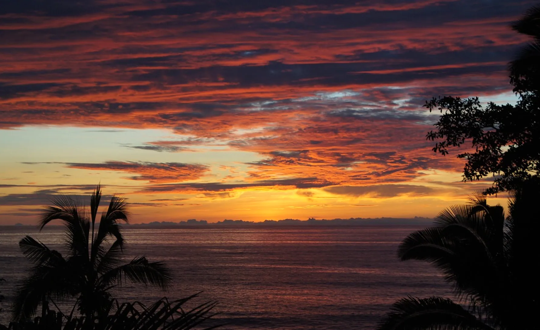 Sunset, beach and palm trees