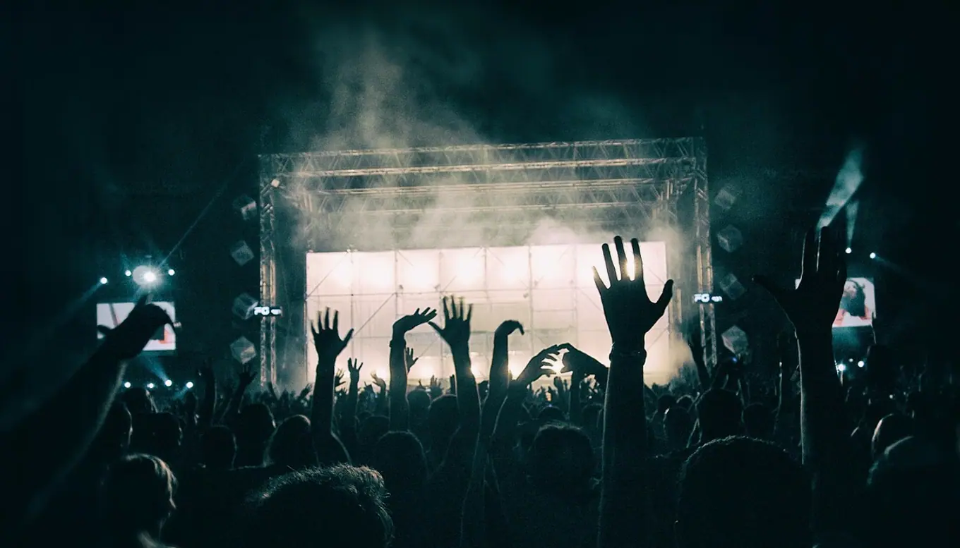 Crowd, concert and music festival